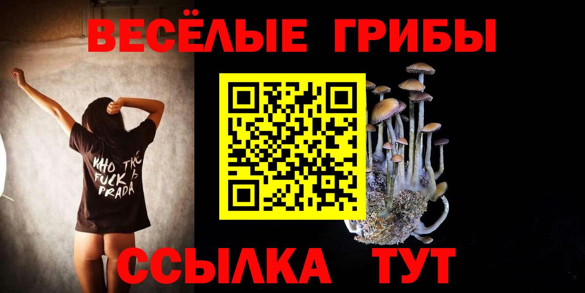 Псилоцибиновые грибы Psilocybine cubensis  Вход с VPN  Галлюциногенные грибы мухоморы  Королёв 